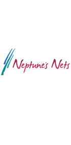 Logo Neptunes Nest Nuevo Vallarta Hotel Paradise Village