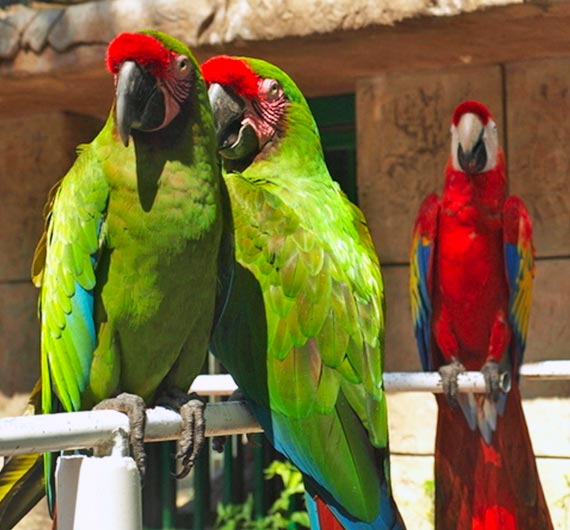 RESERVA LA TARIFA MAS BAJA DISPONIBLE