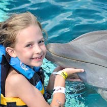 Nado con Delfines en Puerto Vallarta y Nuevo Vallarta